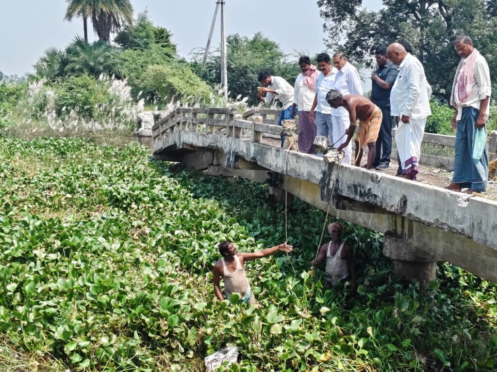 ఘంటసాలలో గుండేరు మేజర్ డ్రైనేజీలో గుర్రపుడెక్క తొలగింపు పనుల పరిశీలన.. మురుగు పారుదలకు ఆటంకాలు లేకుండా ప్రత్యేక శ్రద్ధ: ఎమ్మెల్యే మండలి బుద్ధప్రసాద్