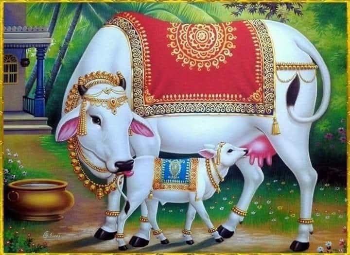 గోమాతకు ఏ ఆహారం పెడితే ఎలాంటి ఫలితం? 22 విశేష ఫలితాలు ఇవే!